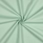 Preview: Canvas mint