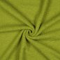 Preview: Doubleface Teddyfleece kiwi