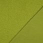 Preview: Doubleface Teddyfleece kiwi