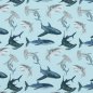 Preview: French Terry Sharks auf Mint