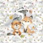 Preview: French Terry - Panel S Dachs Fuchs Biber herbstlich