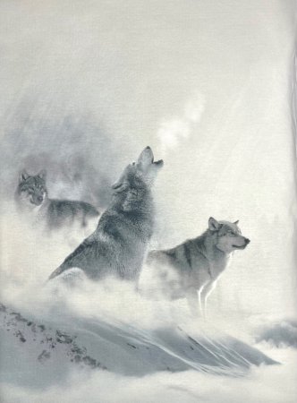 Preview: Panel 50 x 70 cm "drei Wölfe im Schnee"