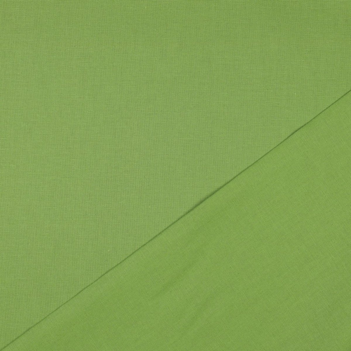 Canvas lime