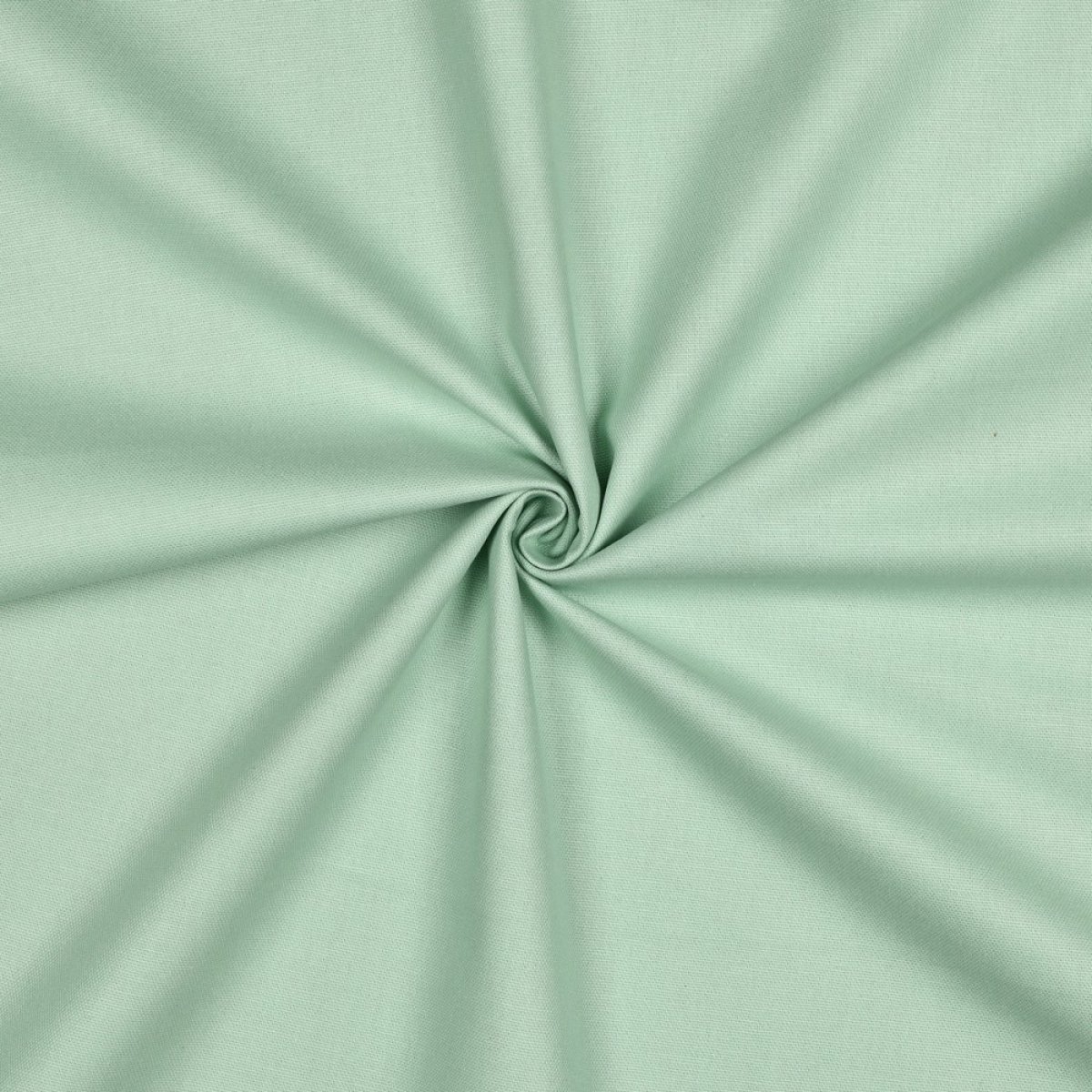 Canvas mint