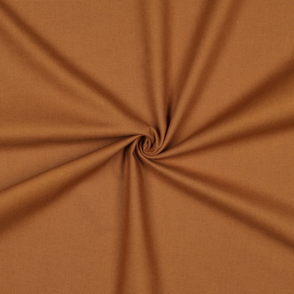 Canvas Camel