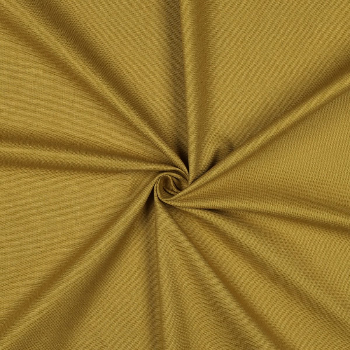 Canvas senf