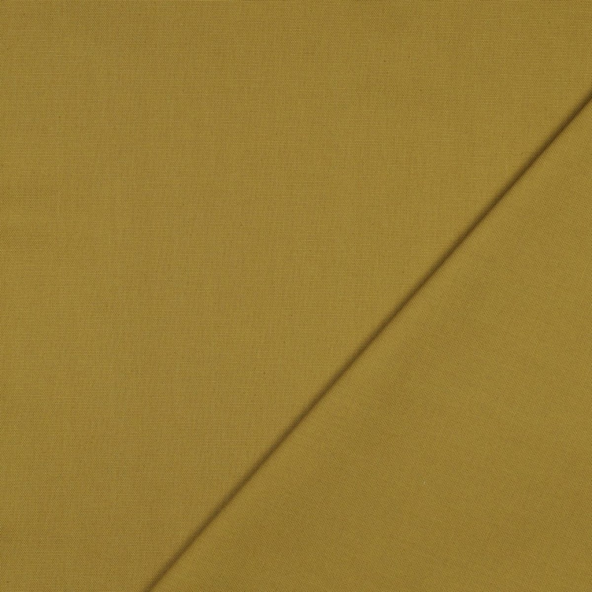 Canvas senf
