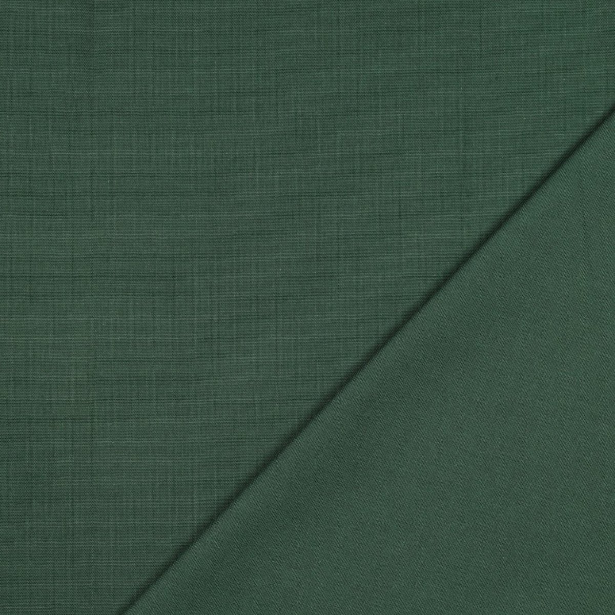 Canvas dunkelgrün