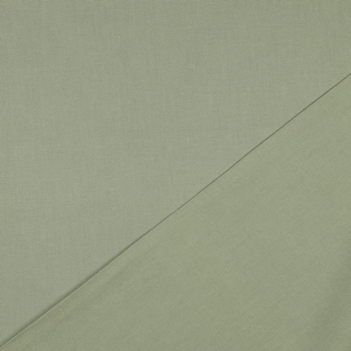 Canvas schilf