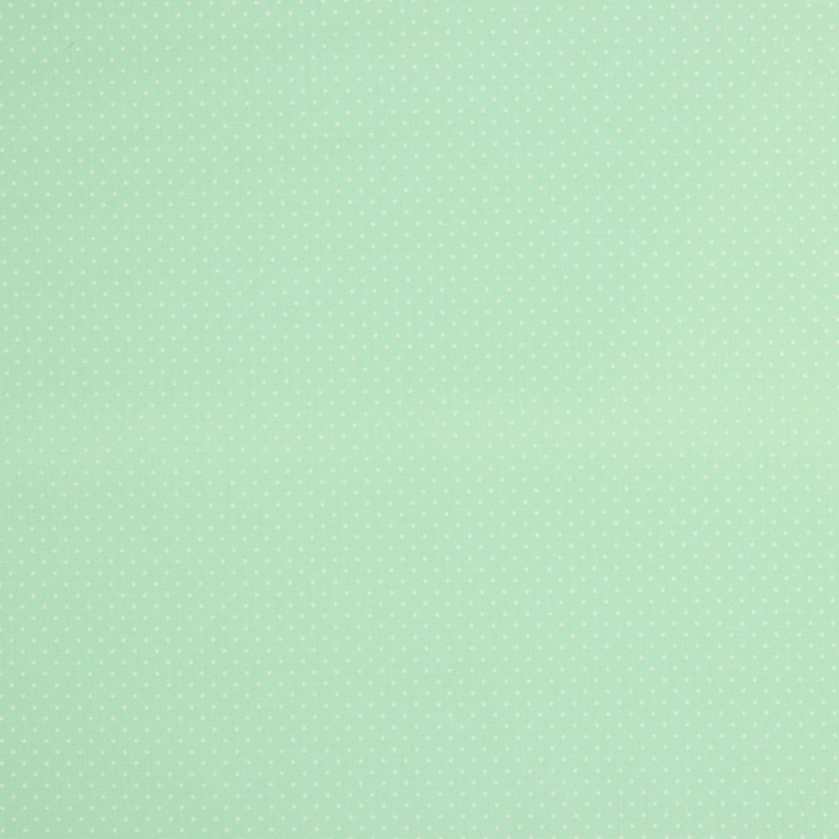Baumwollstoff Petit Dots mint von Poppy Design