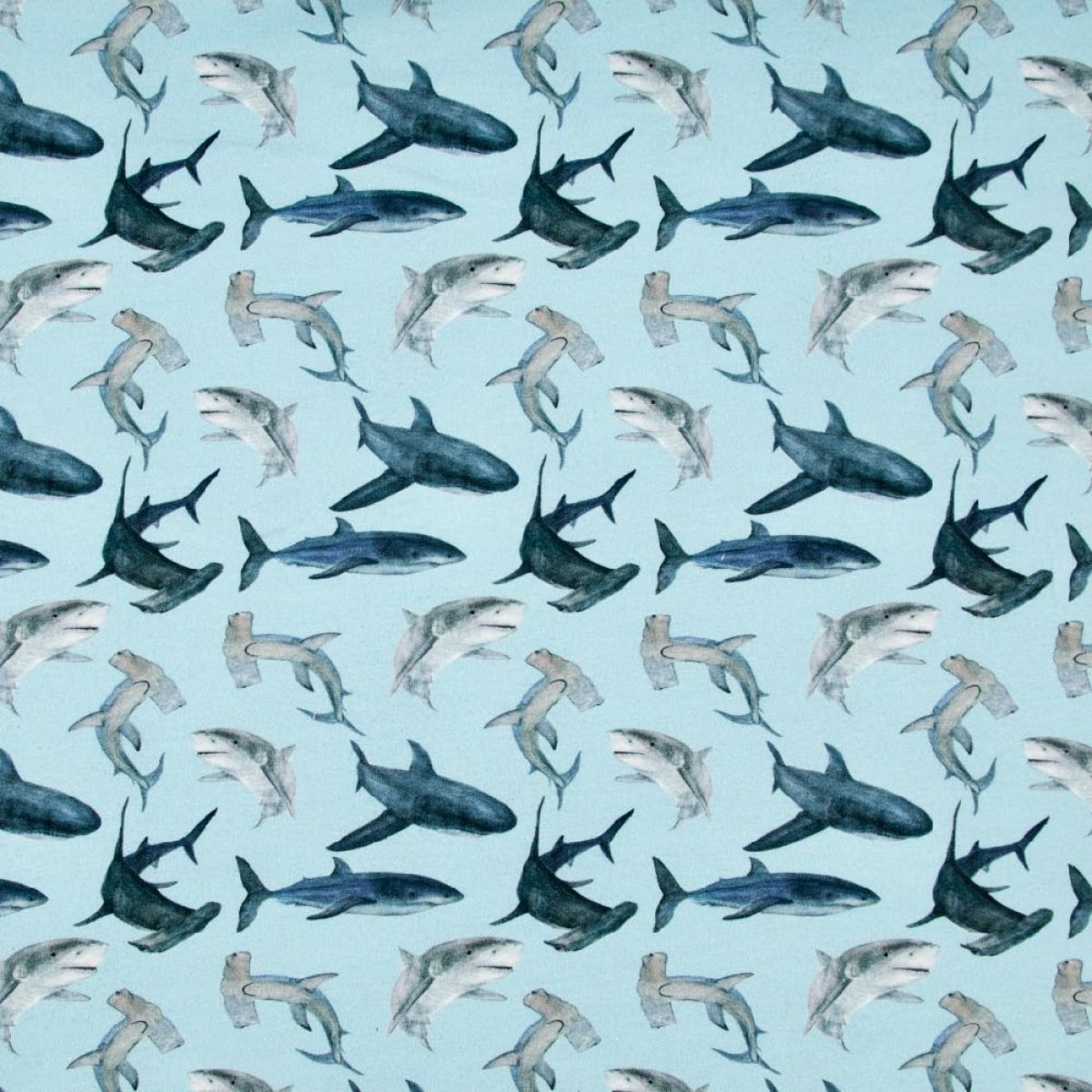 French Terry Sharks auf Mint