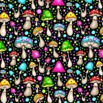 Jersey EP Crazy Mushrooms